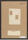 Grammatophora epsilon Grun. (de-Toni-Nr.: Genus 93, Species 3059) Zeichnungen Sammlung Grunow Nr. 6196 (NHMW-BOT-W0374775)